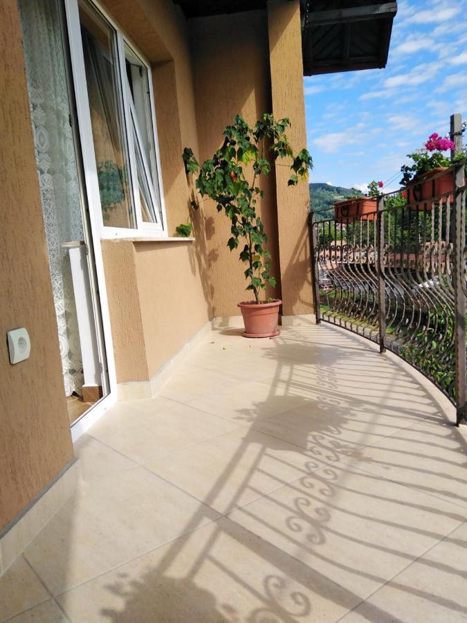 Apartamento Casa Diana-Maria Curtea de Argeş Exterior foto
