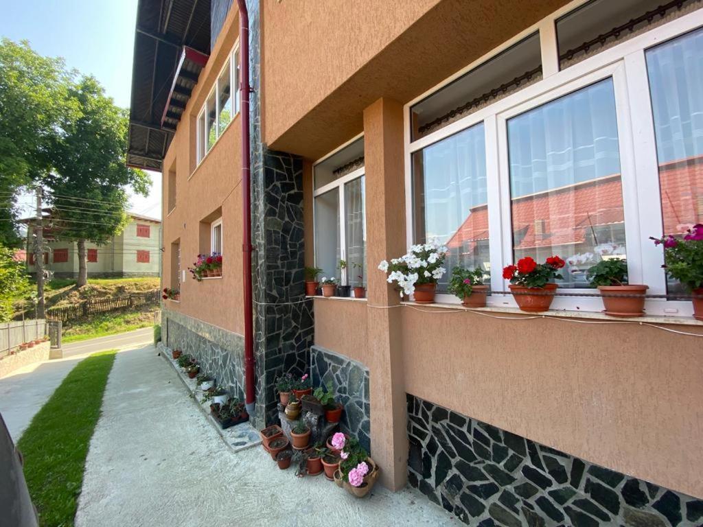 Apartamento Casa Diana-Maria Curtea de Argeş Exterior foto