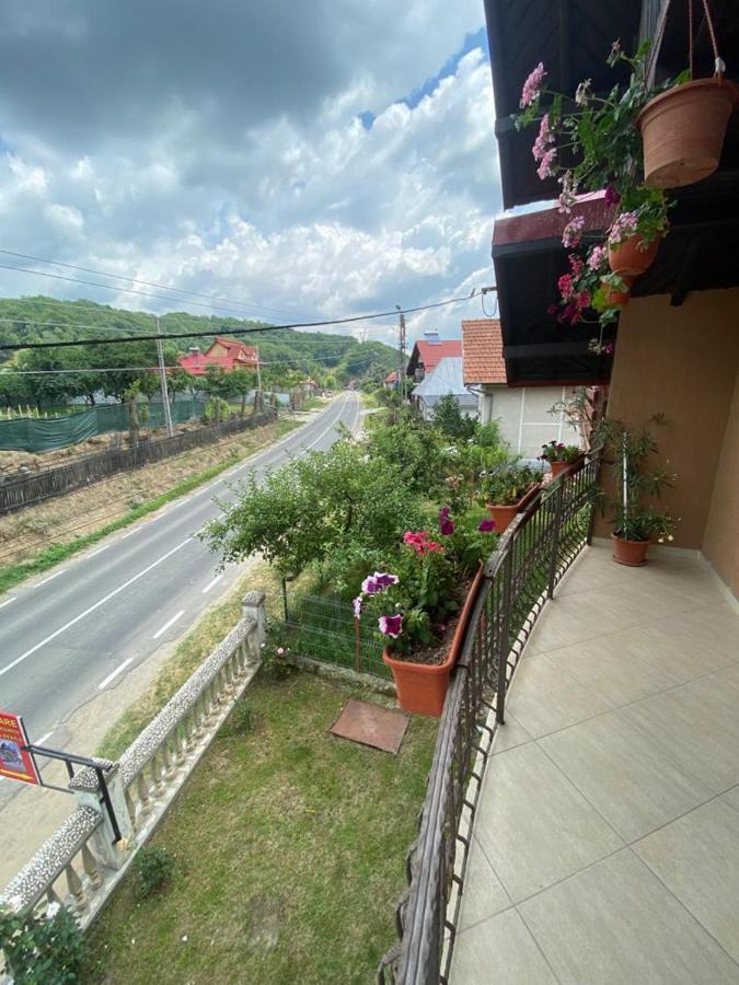 Apartamento Casa Diana-Maria Curtea de Argeş Exterior foto