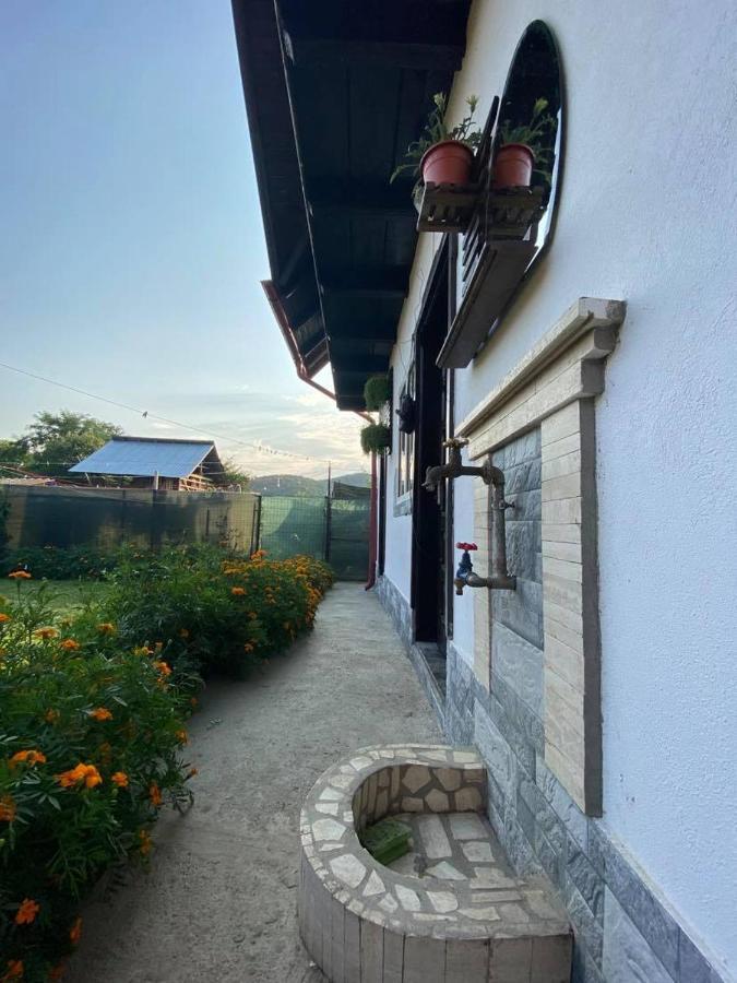Apartamento Casa Diana-Maria Curtea de Argeş Exterior foto