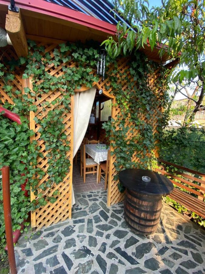 Apartamento Casa Diana-Maria Curtea de Argeş Exterior foto