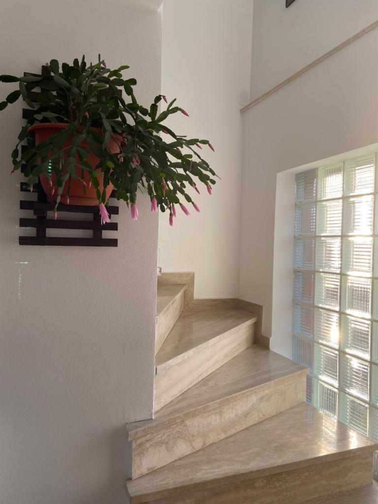 Apartamento Casa Diana-Maria Curtea de Argeş Exterior foto