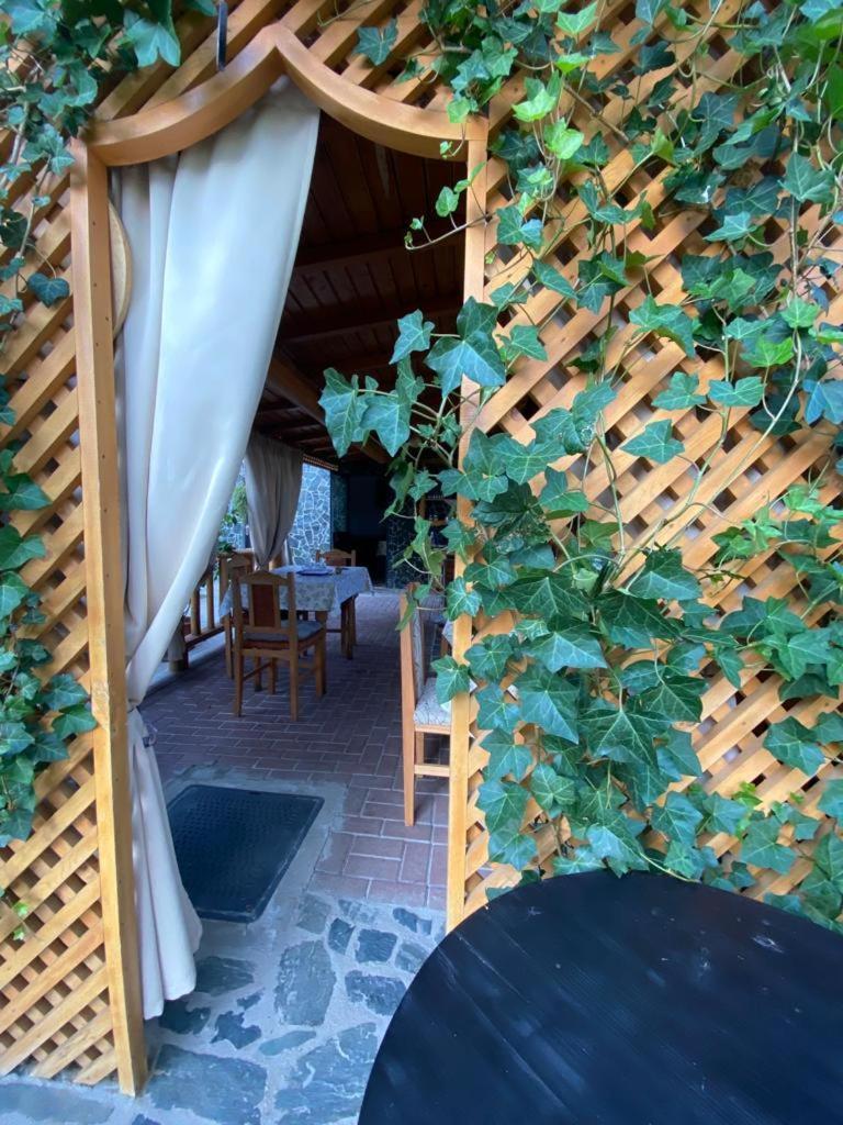 Apartamento Casa Diana-Maria Curtea de Argeş Exterior foto