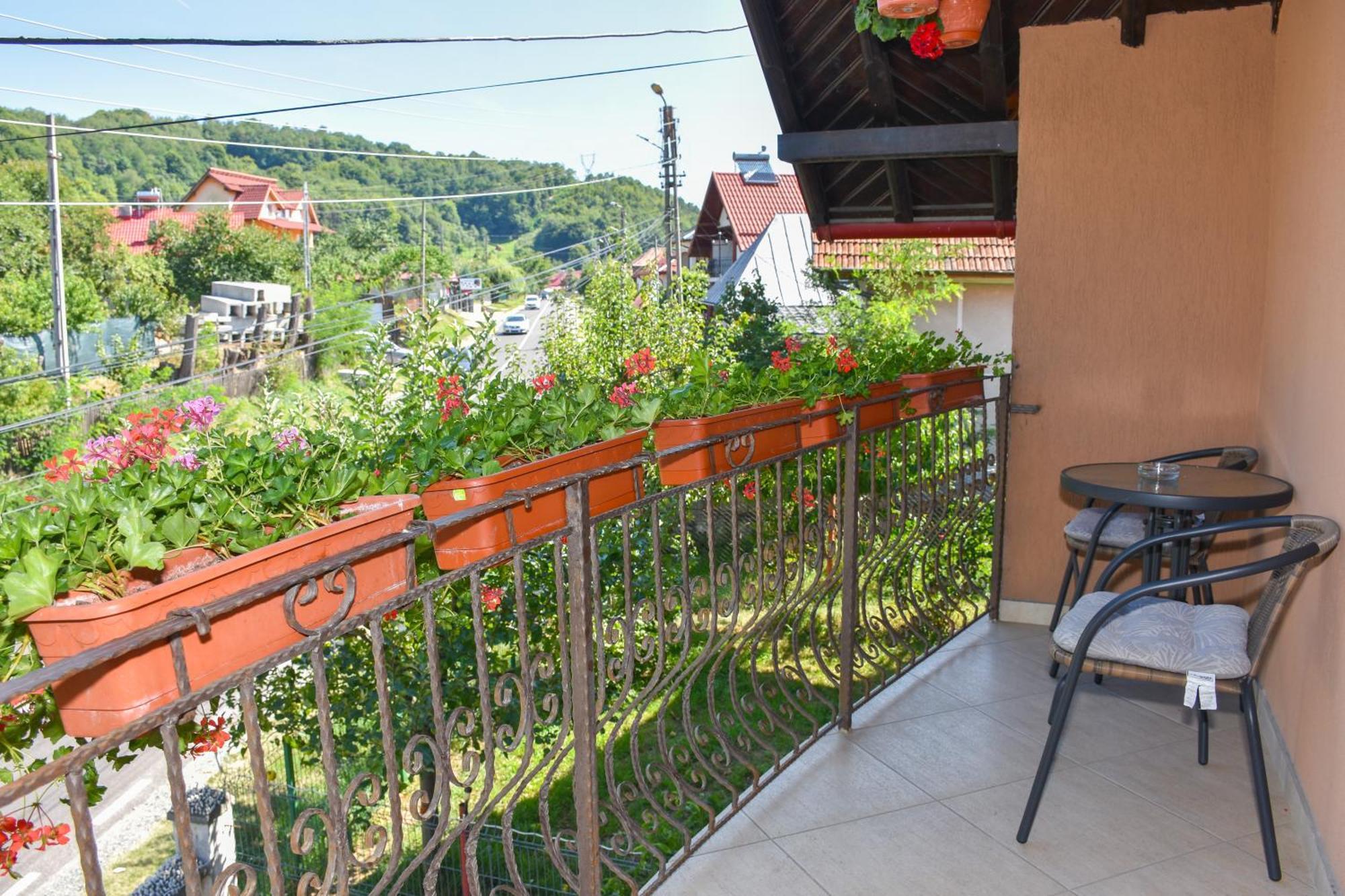 Apartamento Casa Diana-Maria Curtea de Argeş Exterior foto